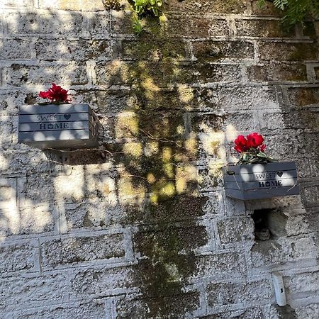 ヌーバ フィエラ B&B ポンテ・ガレリア エクステリア 写真